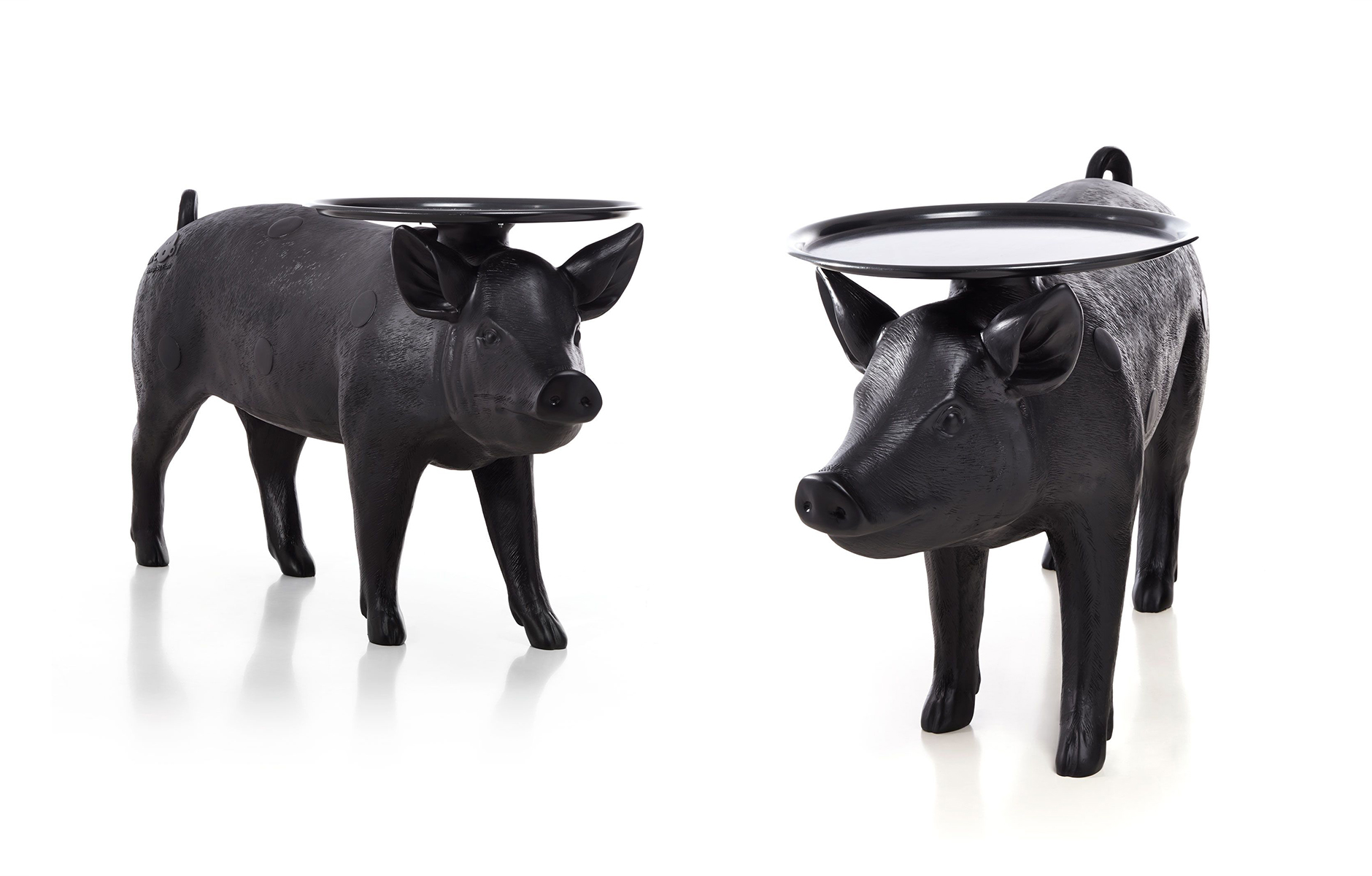 AnimalThing_byFront_projectimage_1880_5