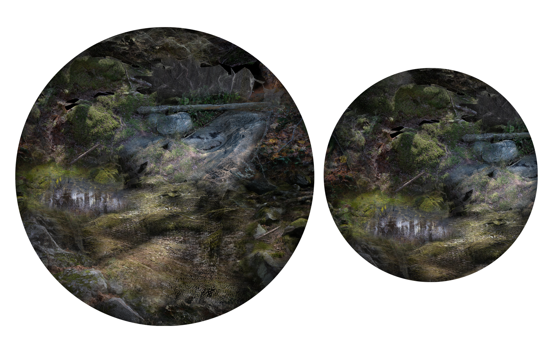 ForestFloorset_FrontForMoooi_Projectimage_2_1880