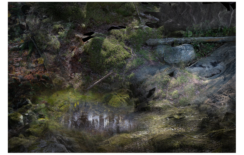 ForestFloorset_FrontForMoooi_Projectimage_8_940