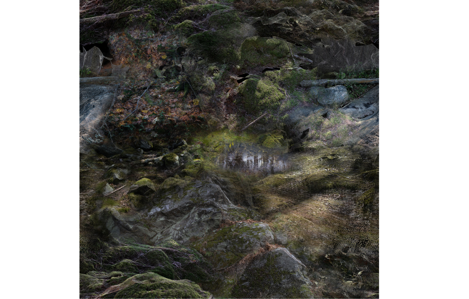 ForestFloorset_FrontForMoooi_Projectimage_9_940