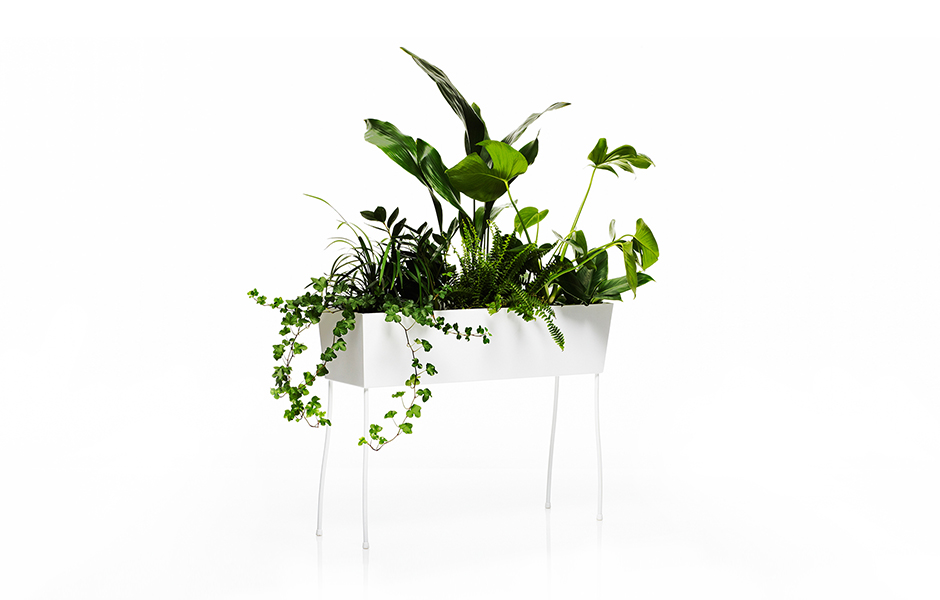 GreenPedestals_byFront_projectimage_940