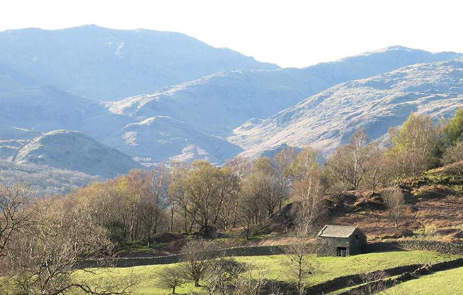 Grizedale Studio_FrontForGrizedaleStudio_grizedaleimage_15_940