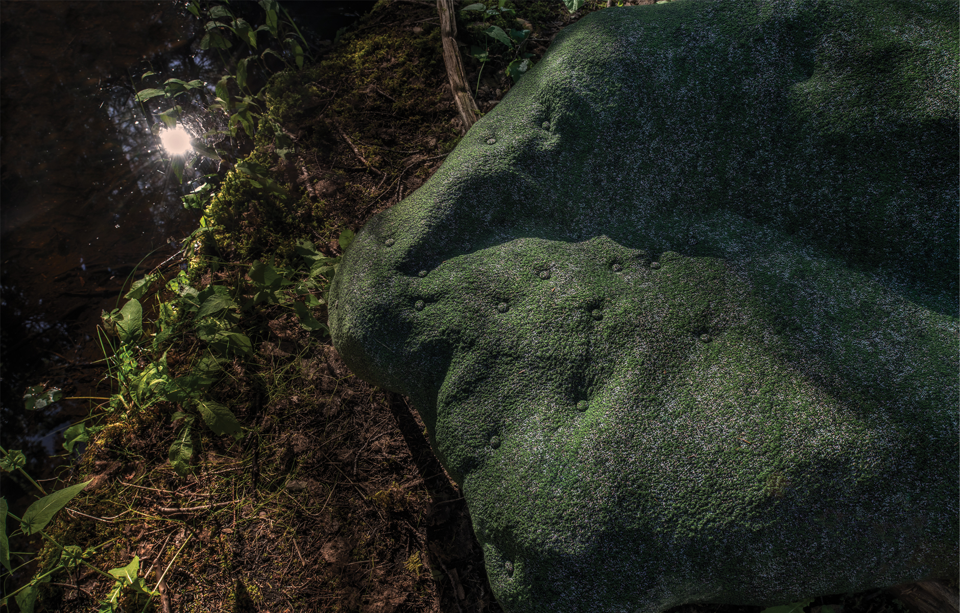 Nature Furniture_Moroso_projectimage_15_1880