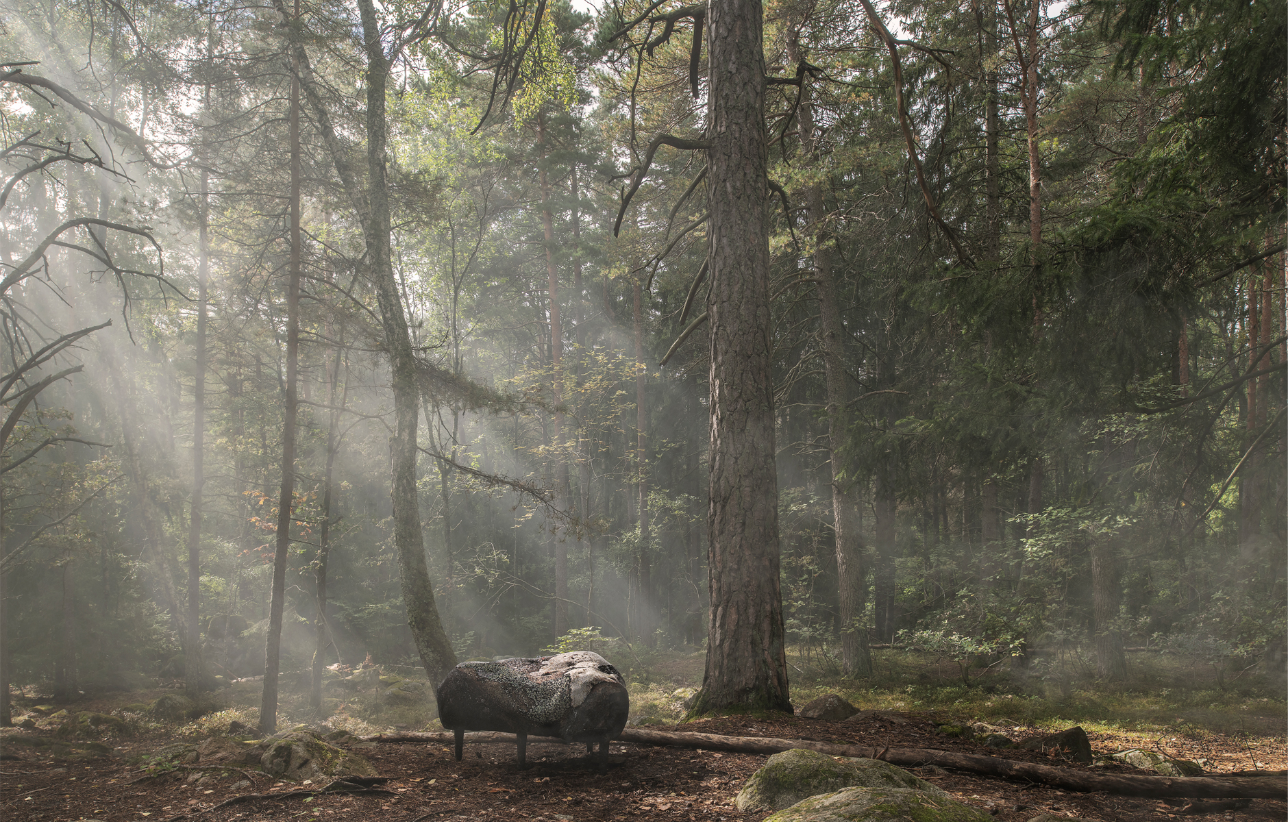 Nature Furniture_Moroso_projectimage_5_1880