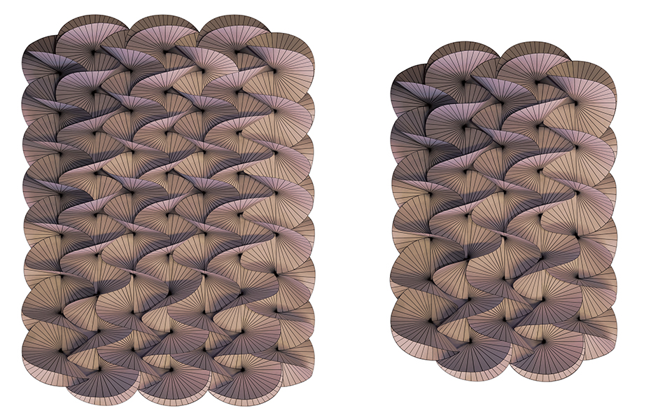 SerpentineCarpet_FrontForMoooi_Projectimage_6_940 (2)