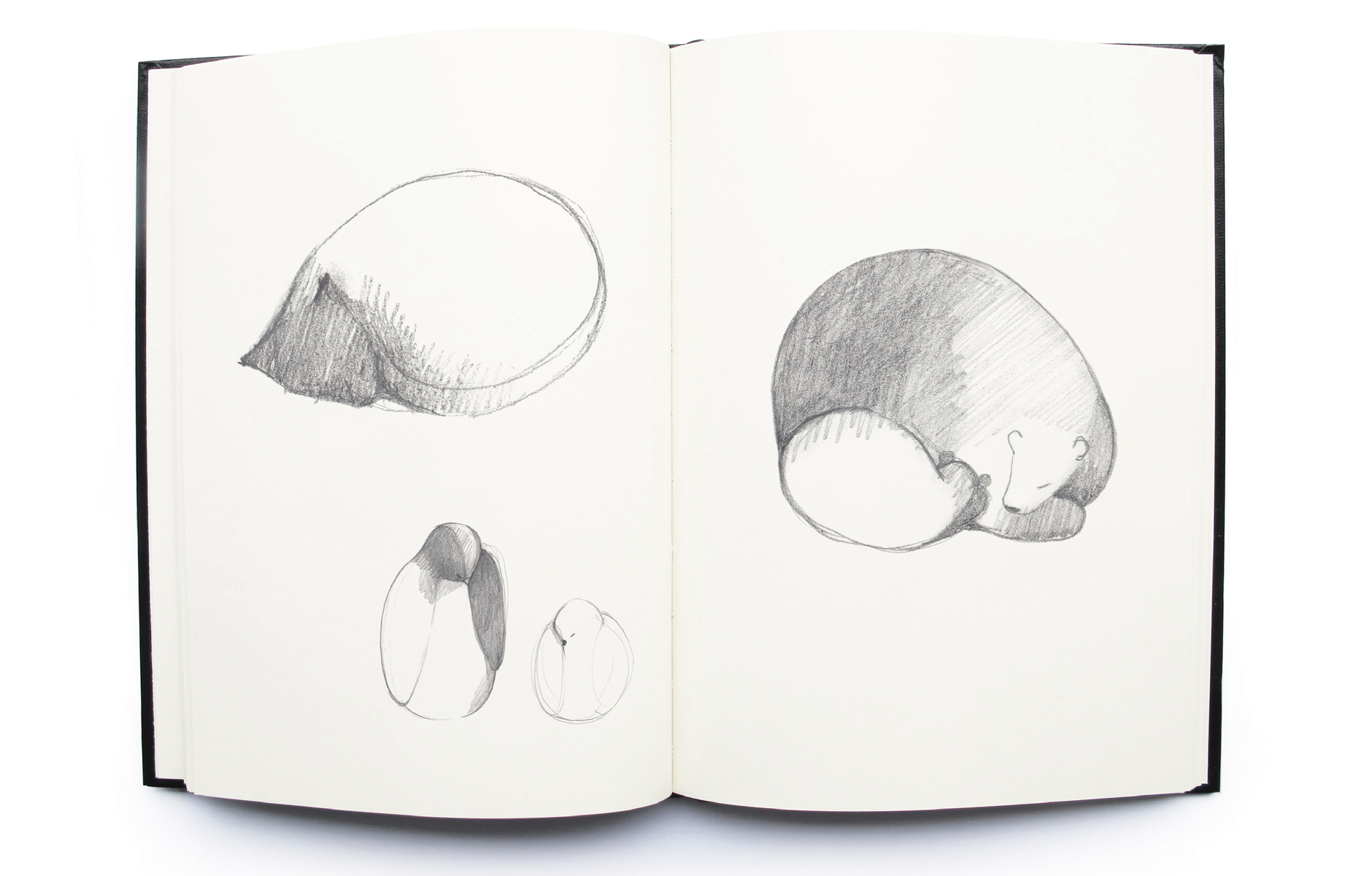 SleepingAnimals_FrontForVitra_ProjectImage_38_1880