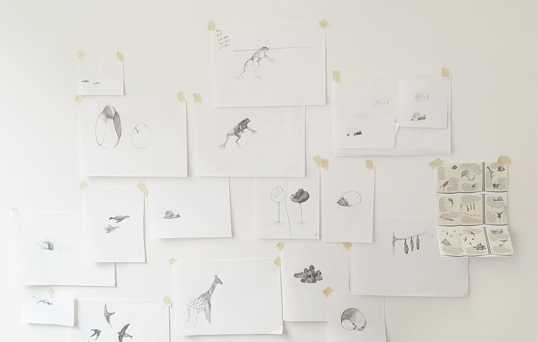 SleepingAnimals_FrontForVitra_ProjectImage_39_1880