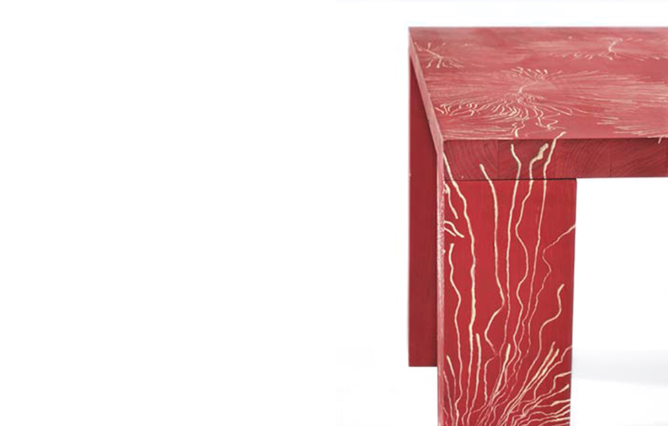 TableByInsects_byFront_projectimage_940