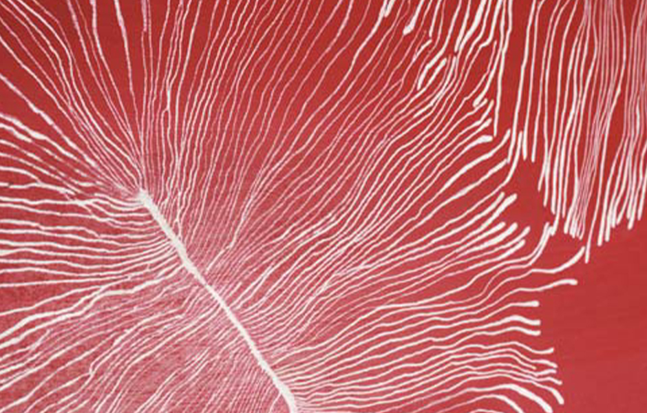 TableByInsects_byFront_projectimage_940_2