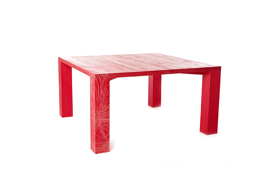 TableByInsects_byFront_projectimage_940_3